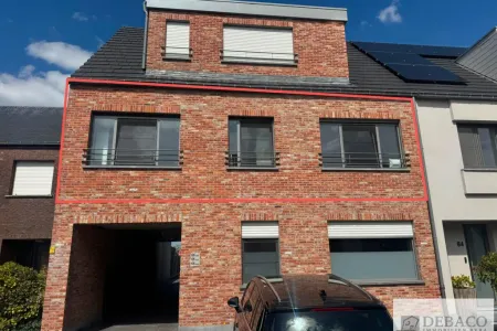 Appartement À louer Herenthout