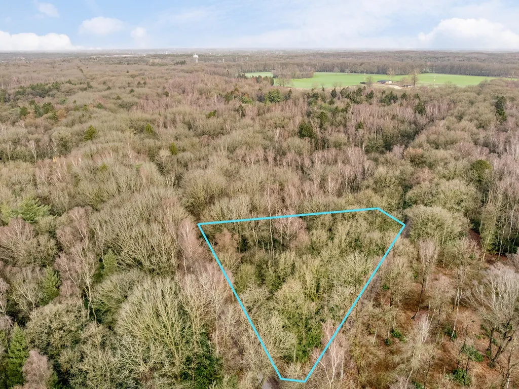 Huis in Wuustwezel - 7660188 - Koersdreef , 2990 Wuustwezel