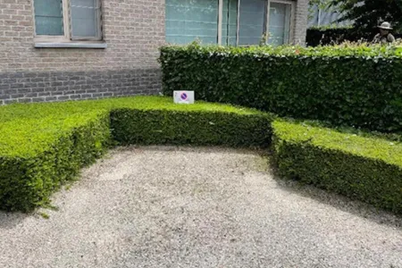 Huis Te Huur Hoogstraten