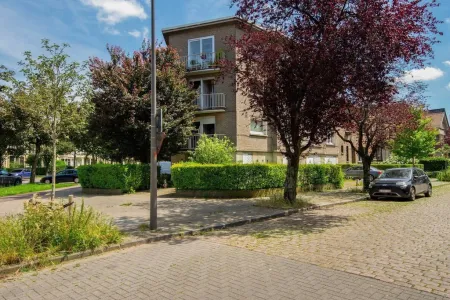 Huis Te Koop Antwerpen