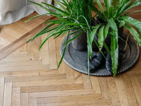 Huis in Antwerpen - Mechelsesteenweg 113 12, 2018 - foto 8