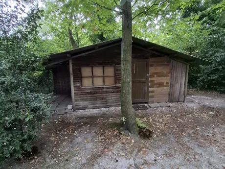 Huis in Westmalle - Hallebaan 115, 2390 - foto 5