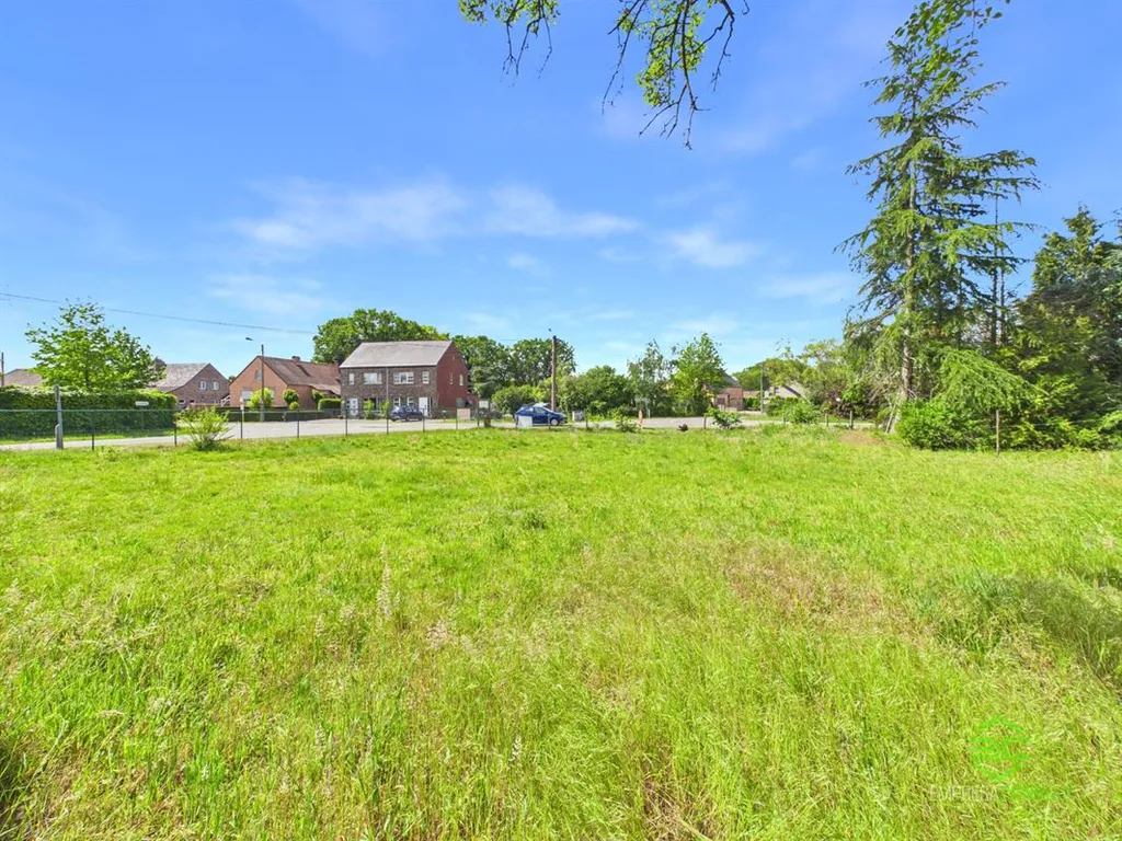 Hoofdfoto Huis in Zonhoven
