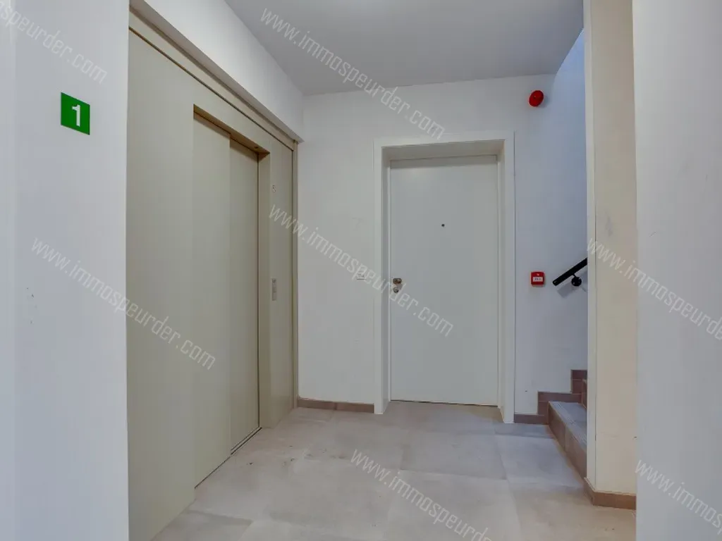 Appartement in Zandvliet - 1098321 - Putsebaan 5, 2040 Zandvliet
