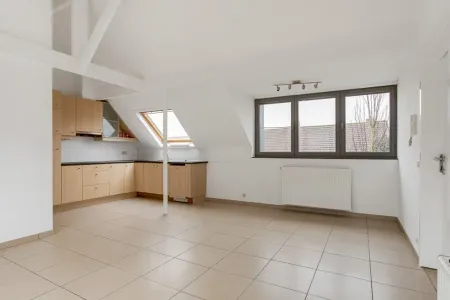 Appartement Gearchiveerd Berendrecht