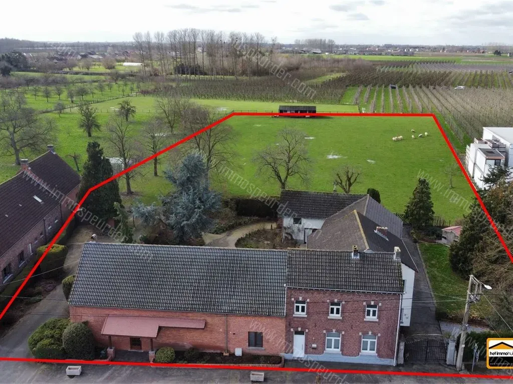 Huis in Wellen - 1383209 - Op den Hamel 1, 3830 WELLEN