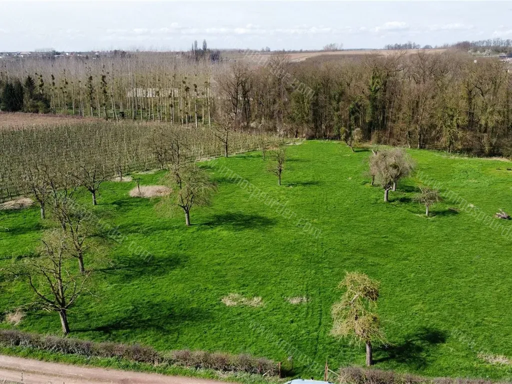 Terrain in Borgloon - 1401074 - Achter De Beek , 3840 BORGLOON