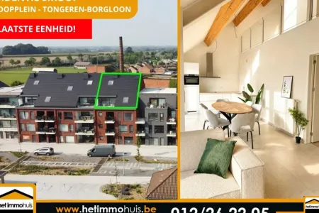 Huis Gearchiveerd Tongeren-borgloon