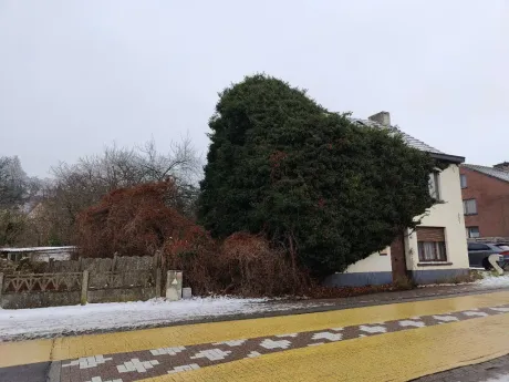Huis in Linden - Gemeentestraat 77, 3210 - foto 3
