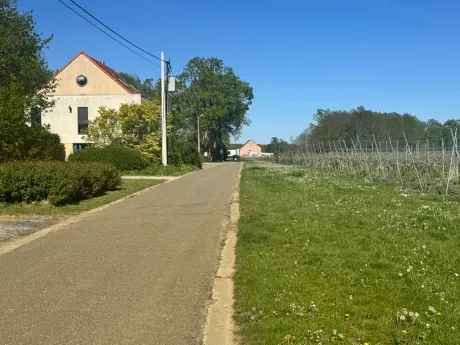 Huis in Tielt-Winge - Wijngaardstraat 68, 3390 - foto 3