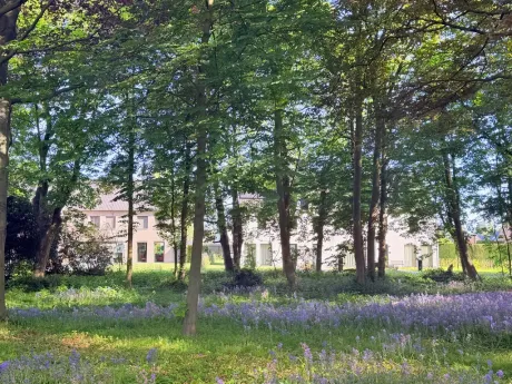 Villa in Gent - Pijkestraat 25, 9000 - foto 3