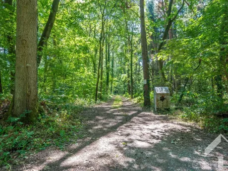 Huis in Pulderbos - Draaiboom 91, 2242 - foto 3
