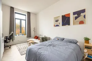 Appartement Te Koop Leuven