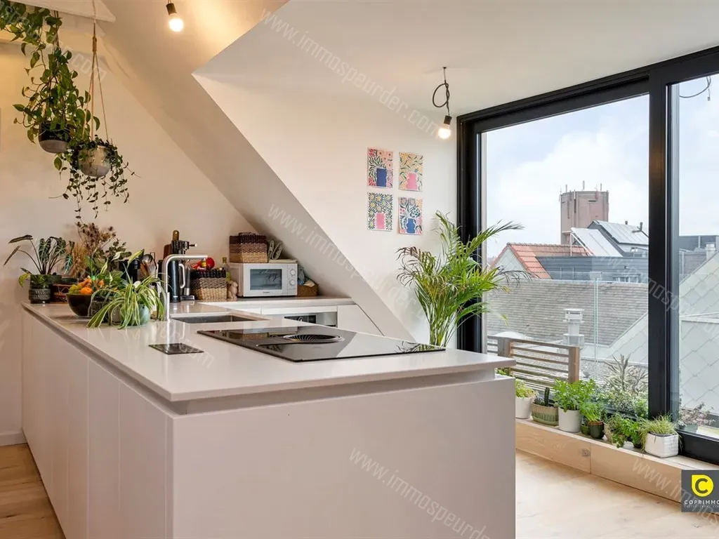 Kiliaanstraat 9294 2570 Duffel 1148817 ImmoSpeurder