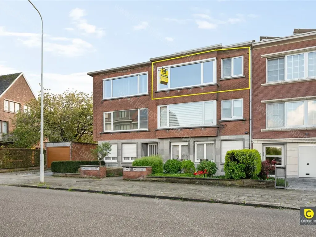 Appartement in Wilrijk