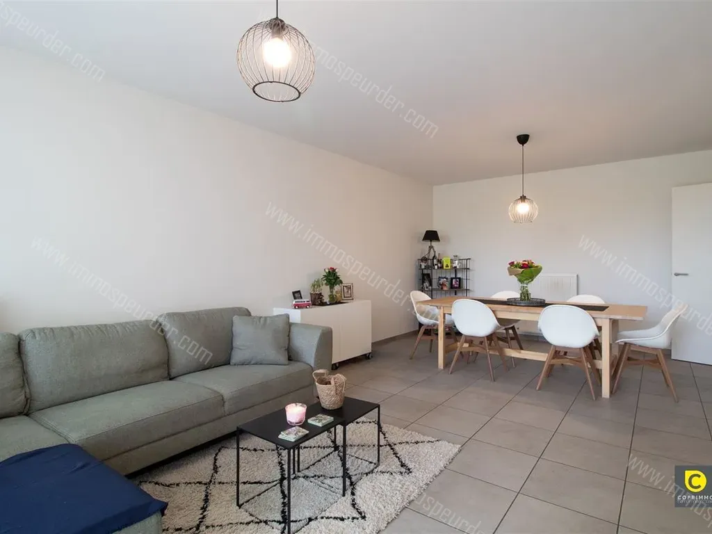 Appartement in Mortsel - 1434057 - Roderveldlaan 100, 2640 MORTSEL