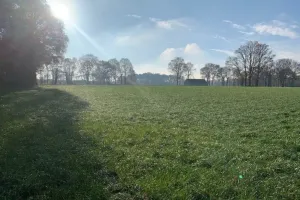 GrondMeeuwen-Gruitrode