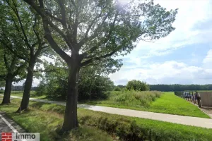 GrondMeeuwen-Gruitrode