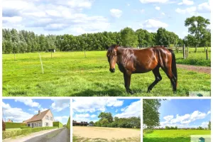 Huis Te Koop Knesselare