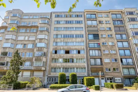 Appartement Te Huur Antwerpen