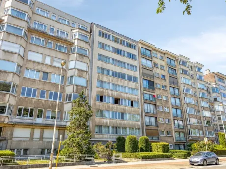 Appartement in Antwerpen - Jan Van Rijswijcklaan 170, 2018 - foto 2
