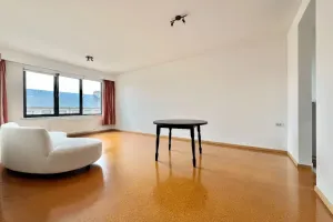 Appartement Te Huur Wommelgem