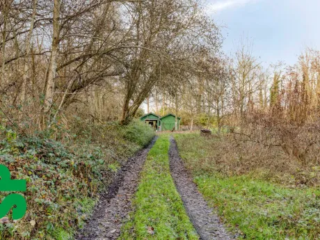 Huis in Grobbendonk - Nierijk 38, 2280 - foto 4