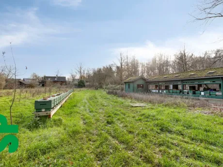 Huis in Grobbendonk - Nierijk 38, 2280 - foto 6