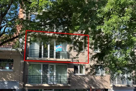 Appartement Te Huur Mol