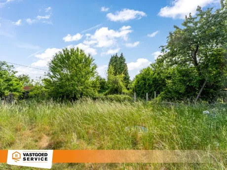 Huis in Balen - Veldweg 39, 2490 - foto 4