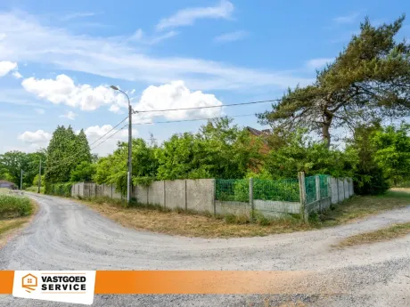 Huis in Balen - Veldweg 39, 2490 - foto 5
