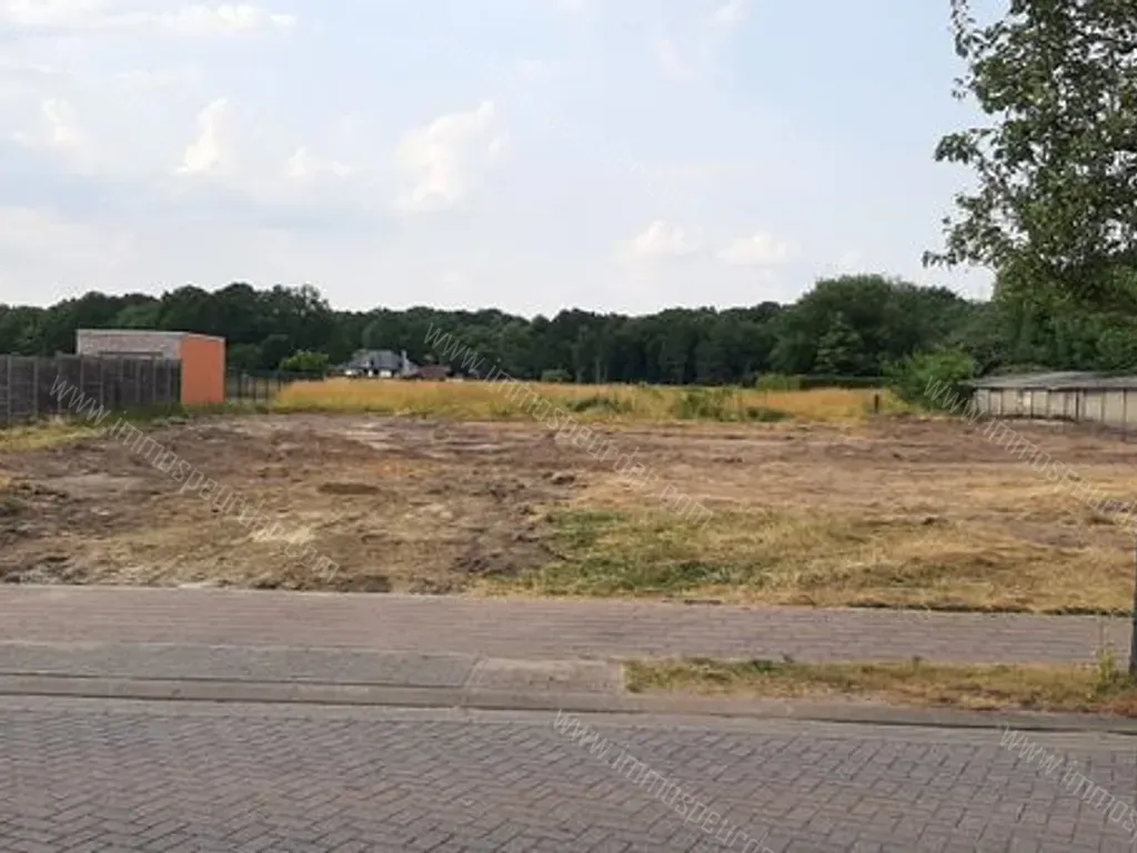 Grond in Zandhoven - 1385572 - Hogeweg 15, 2240 Zandhoven