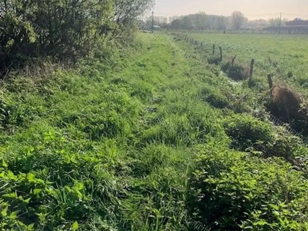 Terrain in Ranst - 1412506 - Ranstsesteenweg , 2520 Ranst