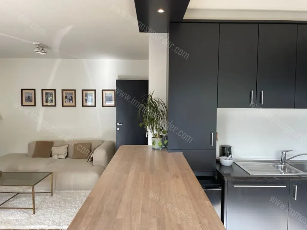 Appartement in Antwerpen - 1434585 - Volhardingstraat 6, 2020 Antwerpen