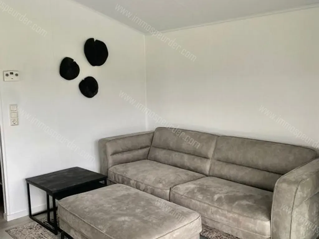 Huis in Merksplas - 1449589 - Veldenbergstraat 97, 2330 Merksplas