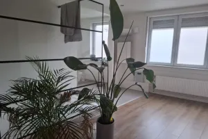 Huis Te Koop Ekeren