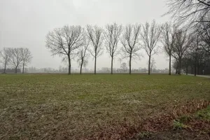 Grond Te Koop Zwijndrecht
