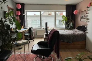 Huis Te Huur Malines
