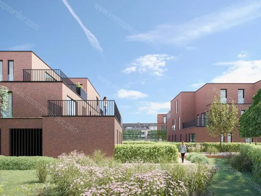 Appartement in Brecht - 1551247 - Nollekensweg 1, 2960 Brecht