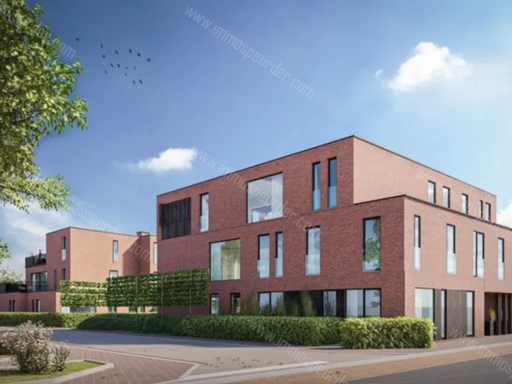 Appartement in Brecht - 1551247 - Nollekensweg 1, 2960 Brecht
