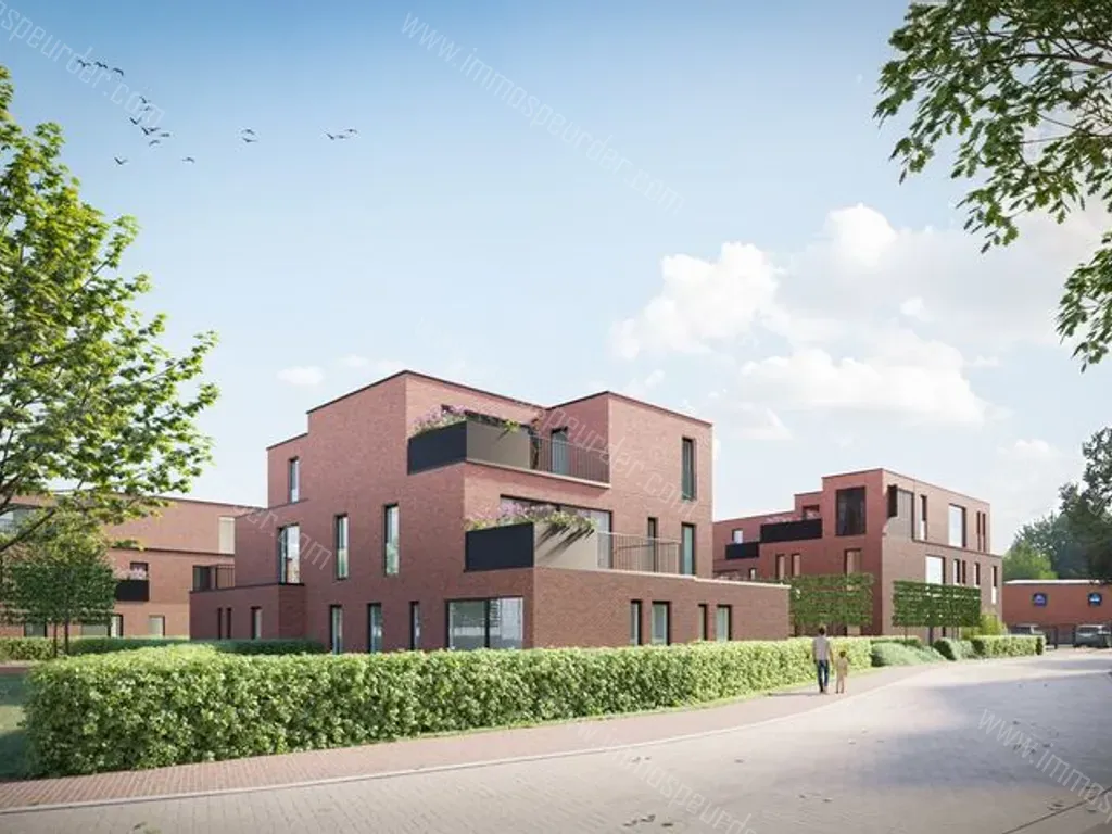 Appartement in Brecht - 1551247 - Nollekensweg 1, 2960 Brecht