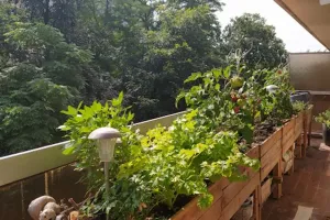 Appartement Te Koop Ukkel