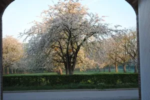 Huis Te Koop Borgloon