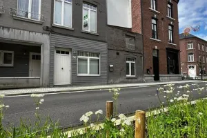 Huis Te Koop Sint-Truiden