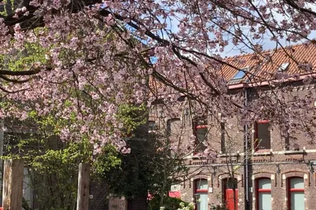 HuisGent