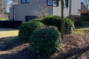 Huis Te Koop Sint-Niklaas