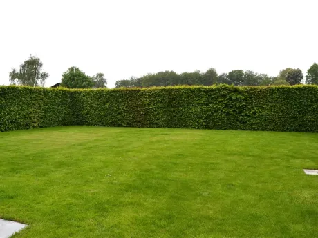 Huis in Bossuit - Schoolstraat 25, 8583 - foto 4