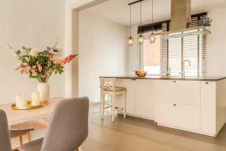 Huis Te Koop Steendorp