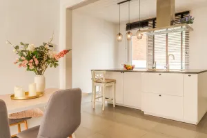 Huis Te Koop Steendorp