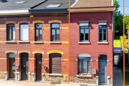 HuisVivegnis